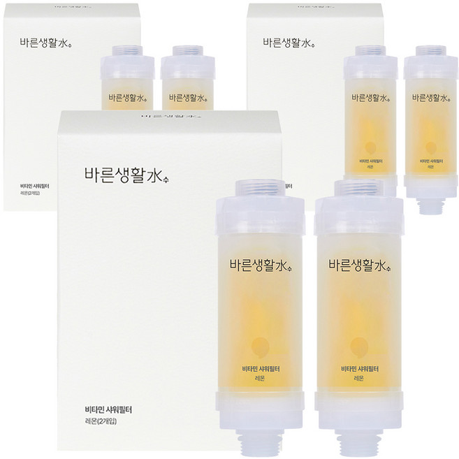 바른생활수 비타민 샤워필터, 6개, 레몬