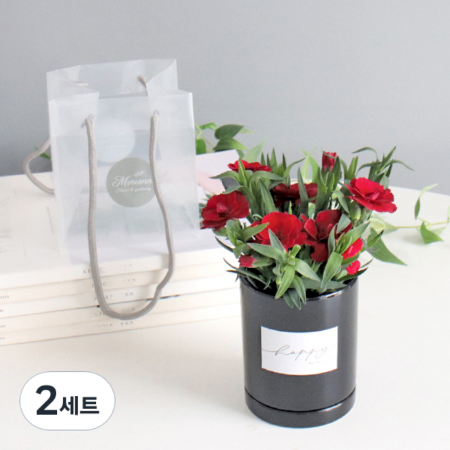 모리앤 감사합니다 카네이션 화분, 레드, 2세트