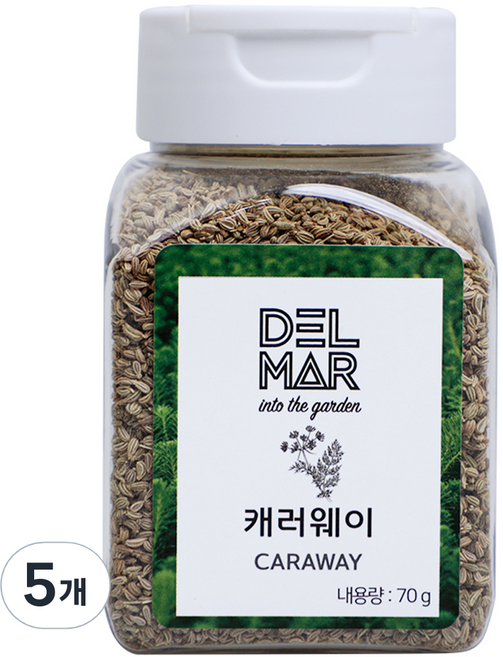 딜리셔스마켓 캐러웨이홀, 70g, 5개