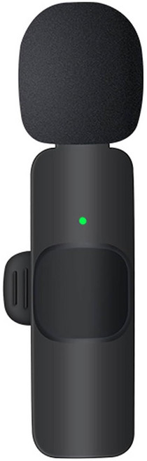 Neon 台灣霓虹 IPhone手機直播降噪麥克風支持手機充電, EWM2, 黑色