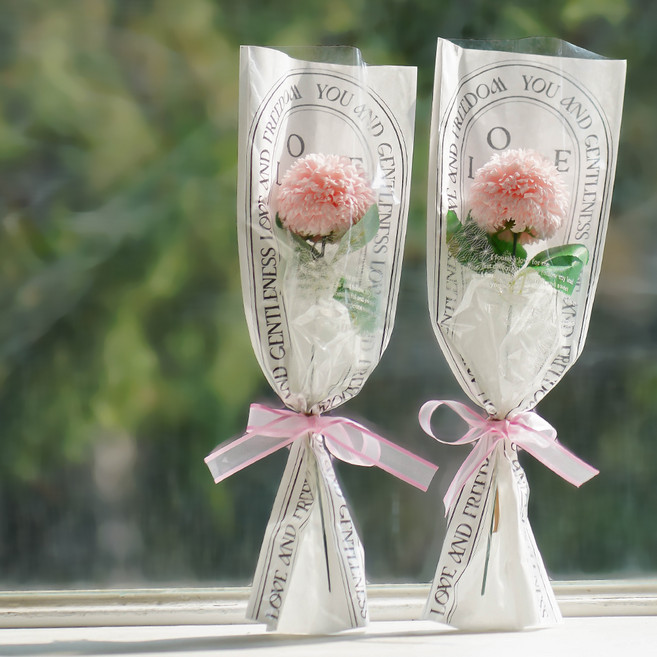 아스파시아 비누꽃 클레오 퐁퐁 카네이션 한 송이 꽃다발 2p + 메세지픽 2p + 쇼핑백 2p 세트, 핑크 + 핑크, 1개