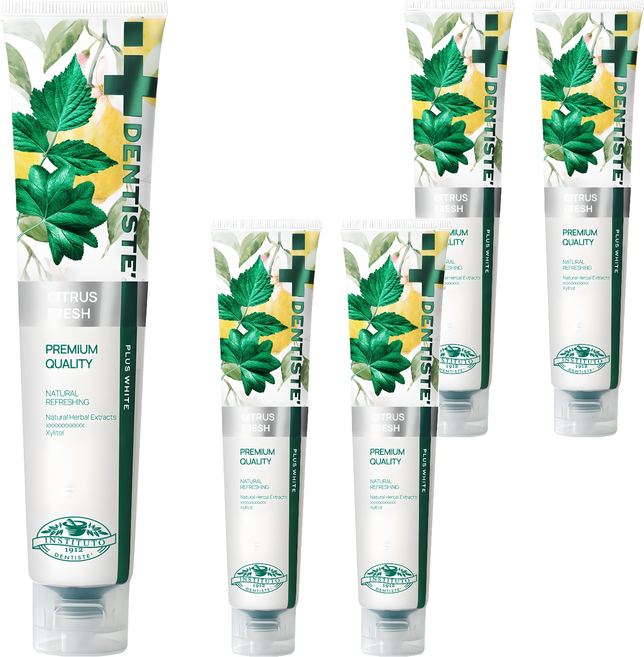 덴티스테 시트러스 후레쉬 치약, 200g, 5개