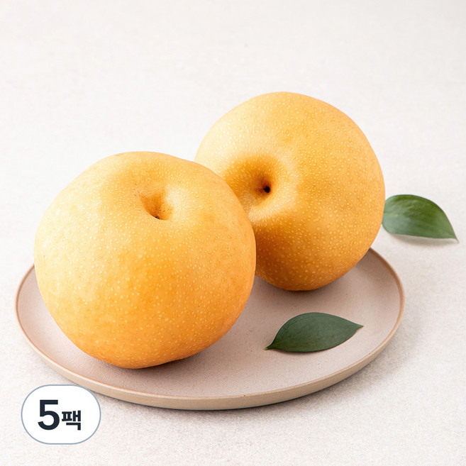다조은 당도선별 신고 배, 1kg(대, 2입), 5팩