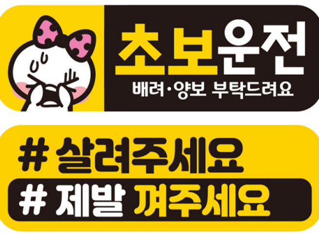 제제데코 초보운전 자동차 탈부착 자석 고휘도 반사 스티커 시트지 미디엄 E230 EC008 + EC048 세트, 혼합색상, 2개