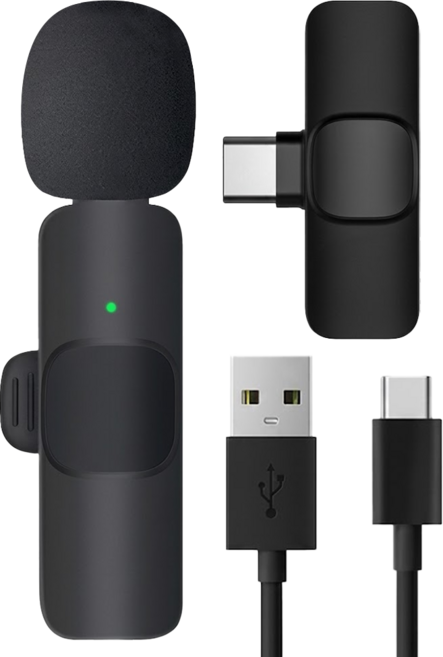 Neon 台灣霓虹 Type-c手機直播降噪麥克風 支持手機充電 贈Type-c充電線, 黑色, 1組