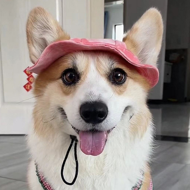 퍼피드림 반려동물 외출용 스트링 모자 썬캡 10057, 핑크, 1개