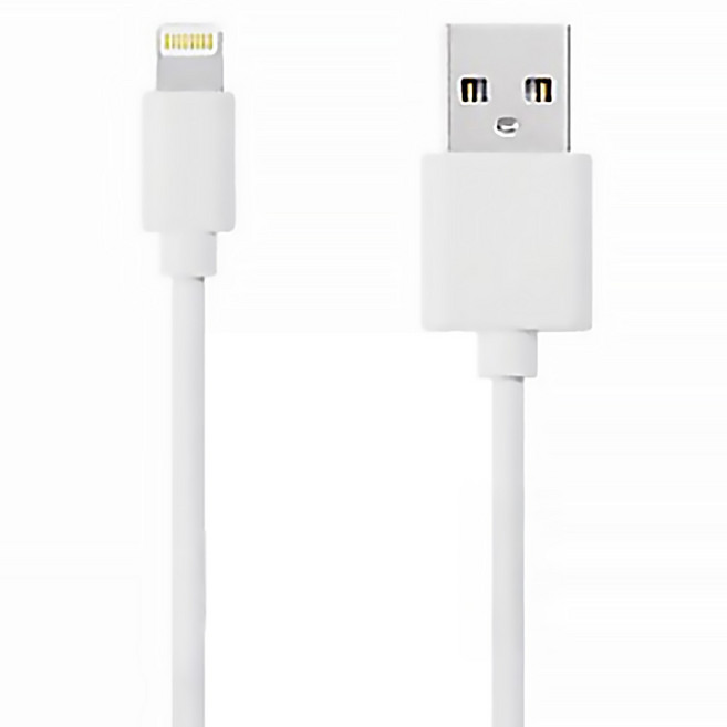 SONGWIN Lightning 充電傳輸線 IP-L1160-W, 1.6m, 白色, 1條