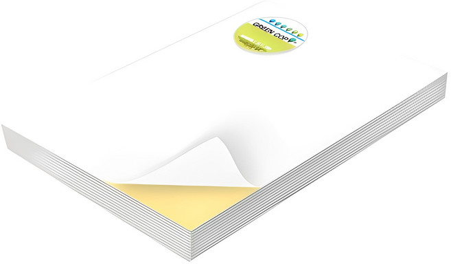 그린카피 잉크젯 레이저 A4 라벨지, 1칸, 100개