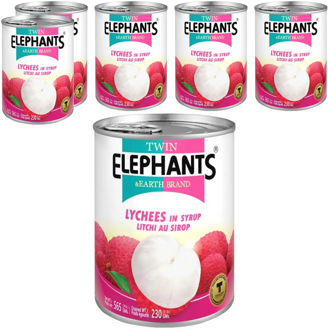 TWIN ELEPHANTS 雙象地球牌 糖水荔枝罐, 565g, 6罐
