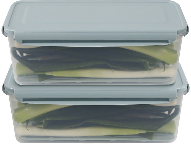 나누담 파 대파 보관 밀폐용기, 2개, 3L