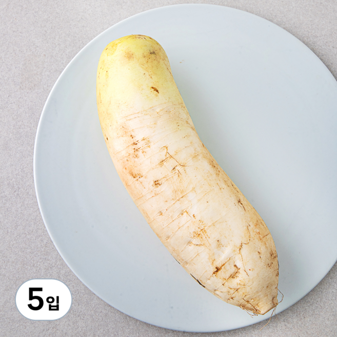 작아도 맛있는 무, 600g, 1개입, 5입