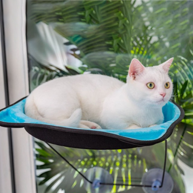 GUNU 흡착식 둥지 고양이 해먹 1p, 블루, 1개