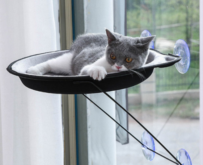 건우코리아 흡착식 둥지 고양이 해먹, 그레이, 1개