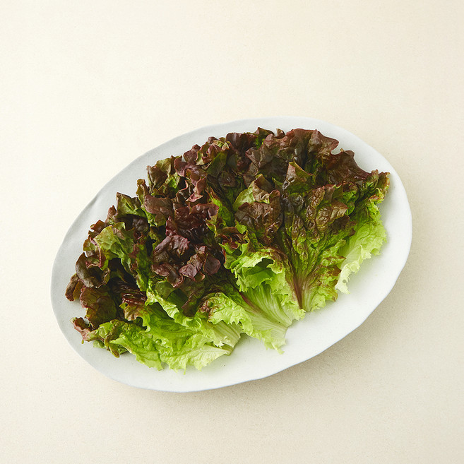 친환경 한끼 적상추, 80g, 1개