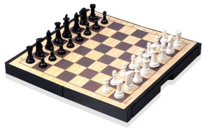 명인랜드 중형 자석 체스단면 M-200, 혼합색상, 1개