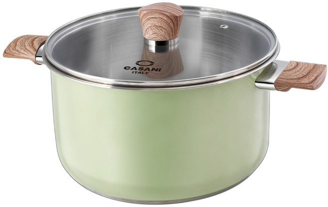 까사니 인덕션 셀바 곰솥냄비, 26cm, 혼합색상, 1개