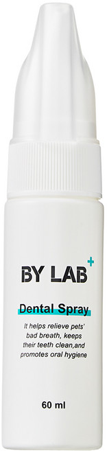 바이랩 덴탈 스프레이, 60ml, 1개