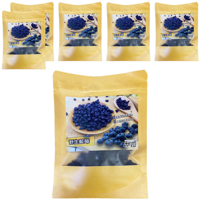 甜園 野生藍莓乾, 60g, 6個