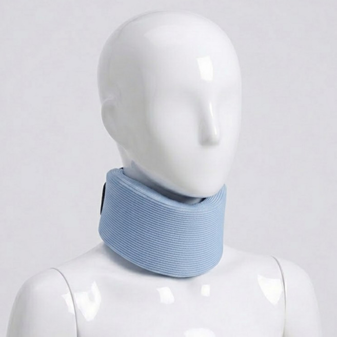 아리코 초경량 목쿠션 2p, 블루