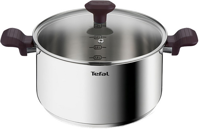 Tefal 特福 Tasty Cook系列 IH雙耳湯鍋, 24cm, 銀色, 1組