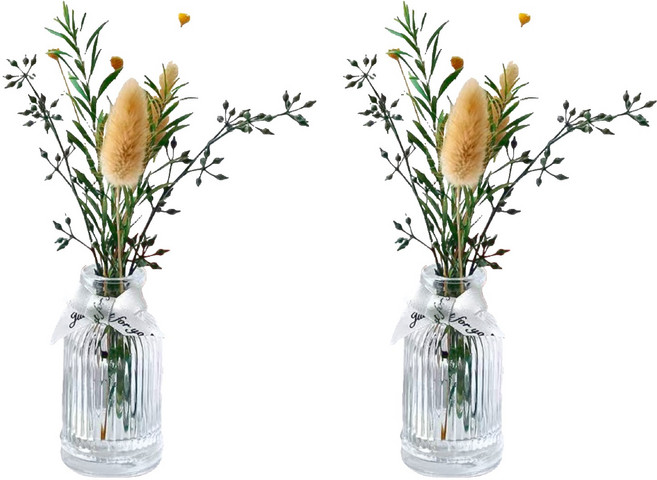 SC優選 植物精油 ins北歐乾燥花無火香薰擺飾 純真芷子花 50ml, 2瓶