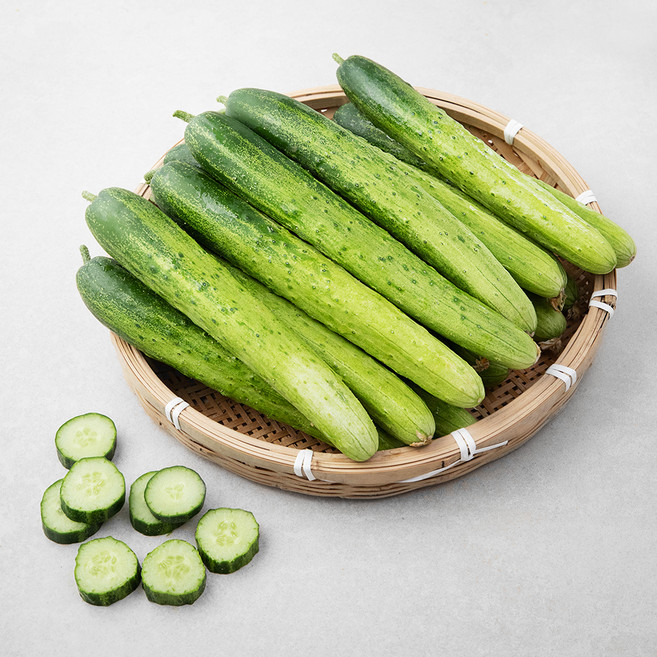 피클&오이지용 다다기오이, 20입, 1봉