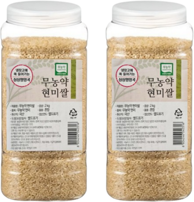 월드그린 싱싱영양통 무농약 현미, 2kg, 2개