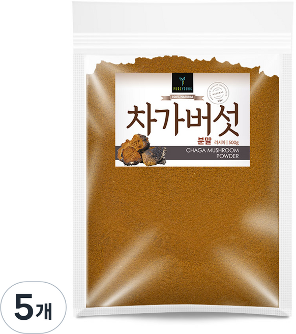 퓨어영 러시아 차가버섯 분말, 5개, 500g