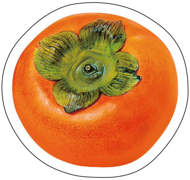 바로 상큼 과일 가게 아크릴 투명 스마트톡, 단감, 1개