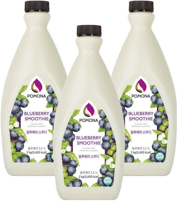 포모나 스무디 시럽 블루베리, 2kg, 3개