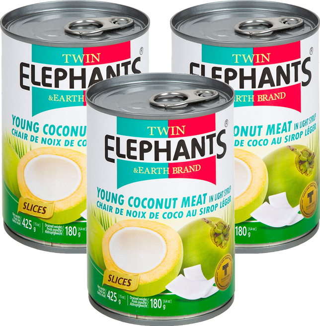 TWIN ELEPHANTS 雙象地球牌 嫩椰子肉片, 425g, 3罐