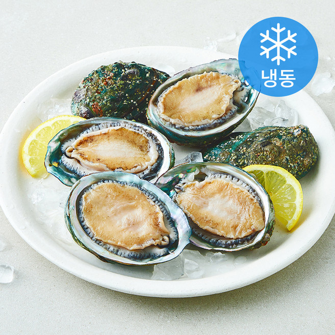 곰곰 살아있는 상태 그대로 얼린 국산 전복 (냉동), 1개, 350g(6마리)