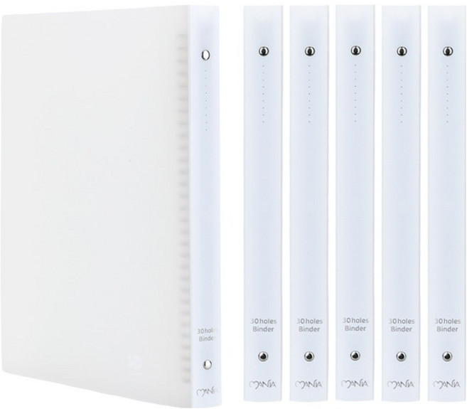 매니아 PP 바인더 파일 30공 A4, 투명, 6개
