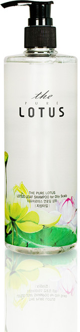 더퓨어로터스 제주 연꽃잎 지성용 샴푸, 420ml, 1개