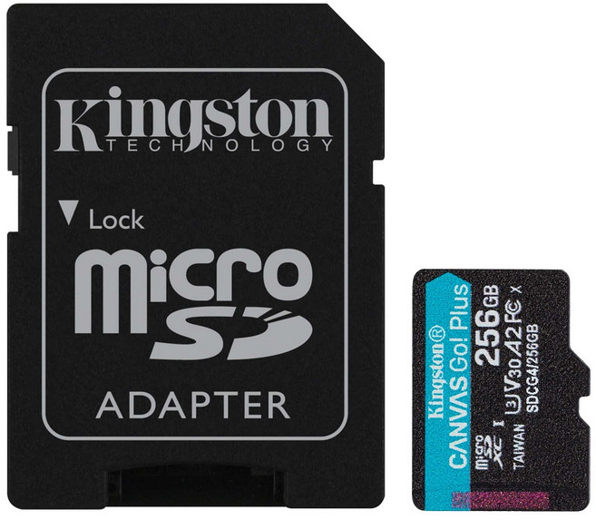 Kingston 金士頓 Canvas Go!Plus microSD A2 U3 V30 記憶卡 附轉卡 SDCG4, 256GB, 1個