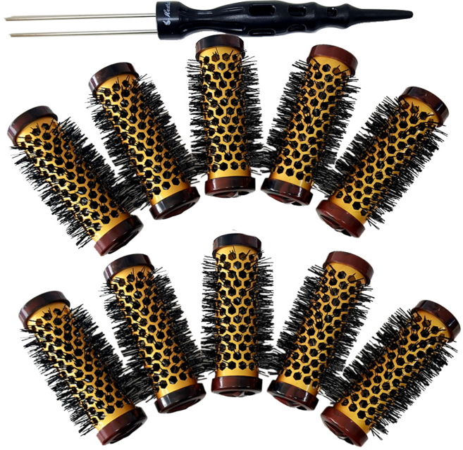 헤스티아 핫롤 대, 혼합 색상, 10개