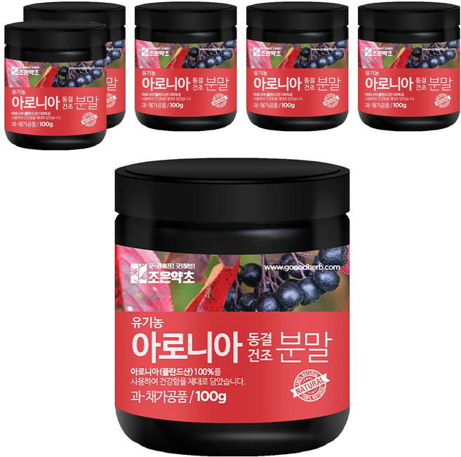 조은약초 아로니아 동결건조 분말, 6개, 100g