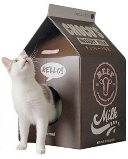 미스펫 고양이 우유하우스 스크래처 박스, 초코맛, 1개