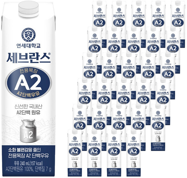 세브란스에이투 전용목장 단백우유, 240ml, 32개