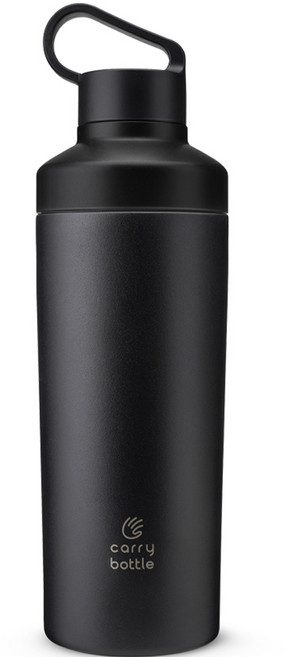 캐리보틀 리프 텀블러, 블랙, 530ml, 1개