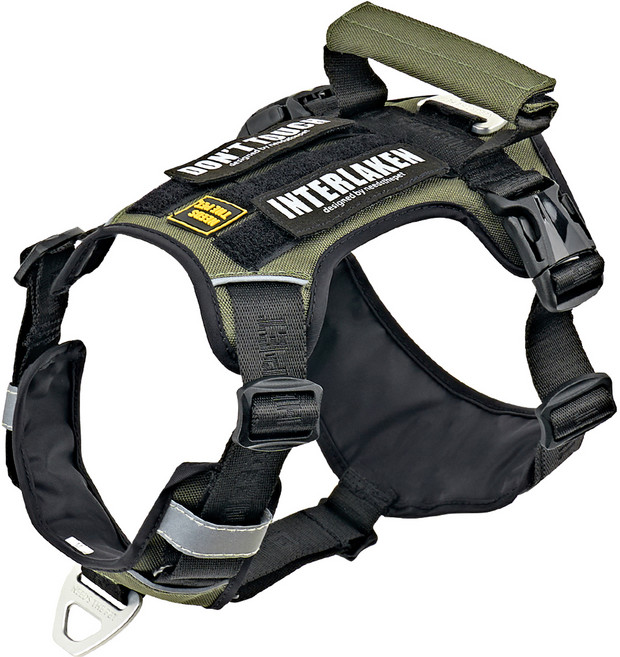 니즈더펫 인터라켄 슬림2.0 경량 투톤 앞고리 강아지하네스, 블랙 + 카키, 1개