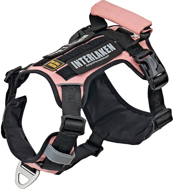 니즈더펫 슬림2.0 강아지 하네스, 블랙 + 핑크, 1개