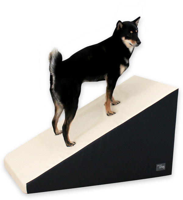 초코펫하우스 논슬립 스텝 프리미엄, 블랙, 1개