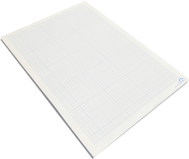 트레싱 방안지 75g, A4, 30개