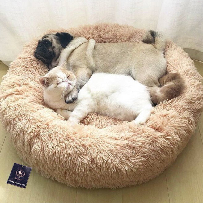 딩동펫 반려동물 폭신 도넛 방석, 크림오렌지, 1개