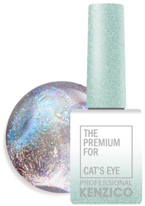 켄지코 캣츠아이 젤네일, CE403, 10g, 1개