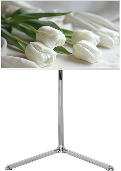 더함 이젤형 벽밀착 브이라인 TV 스탠드 거치대 크롬 실버 600 x 400 mm, ESV-241L-C, 1개