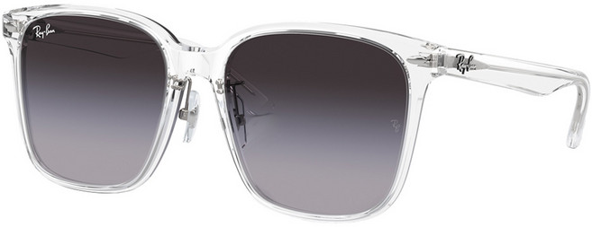 Ray-Ban 雷朋 膠框太陽眼鏡 RB2206D-64478G