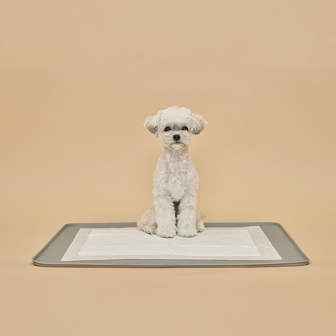 도그아이 반려동물 논슬립 실리콘 배변매트, 1개