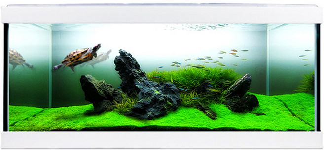 모비딕 50슬림 모던 어항 + 뚜껑, White, 1세트